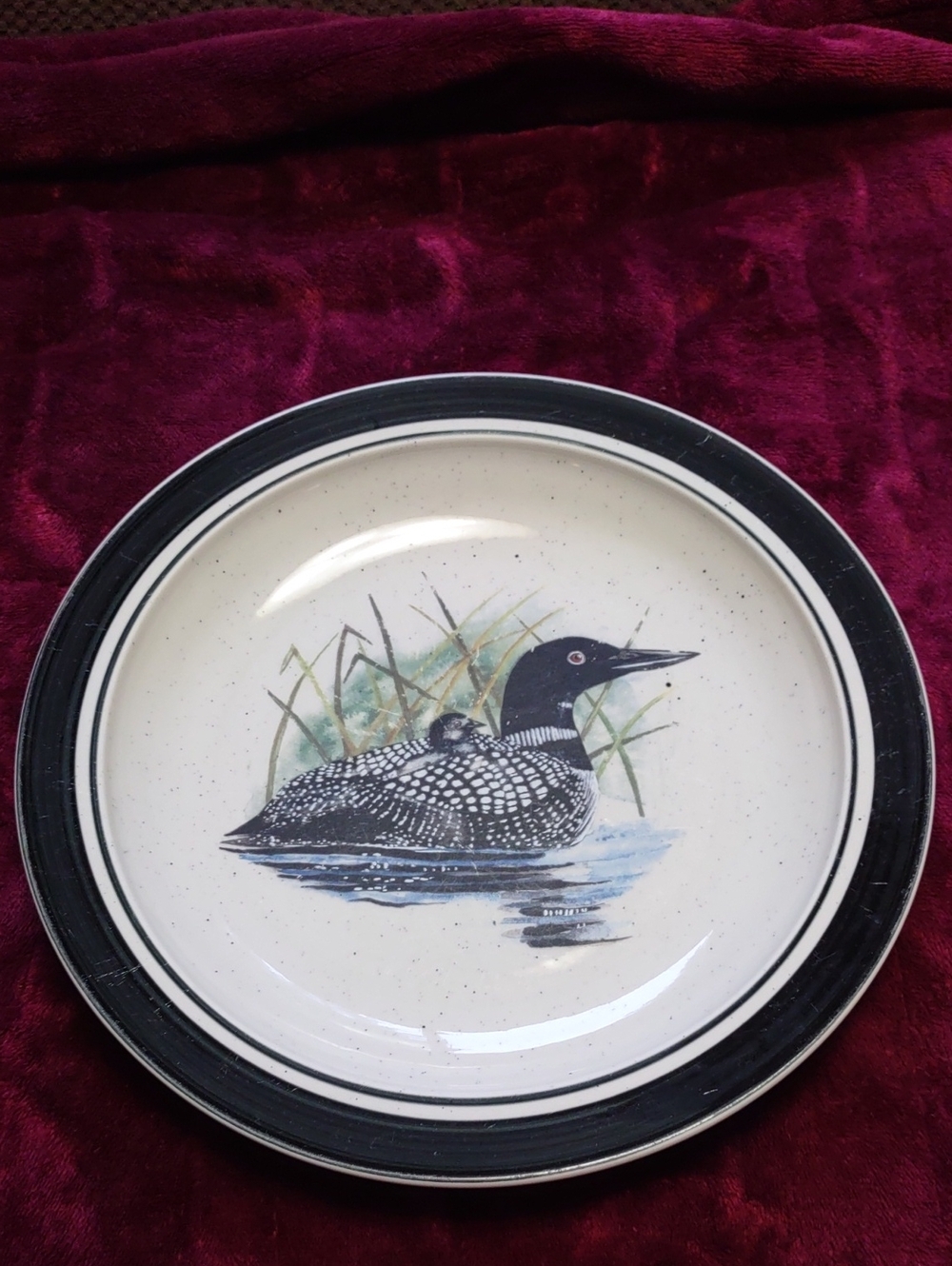 Vintage Folk Craft  "Loon Lake" Stone Ware By Scotty Z. Dinner Plate (1)